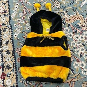 Bumble bee costume!